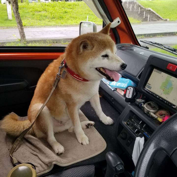 294bb523 adbc 442d b1f1 8ed30eec52fe 1720921637211