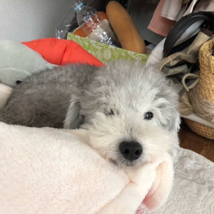 294bc67f fdf7 4c6e a6e9 89f25e9fa324 1538271587744