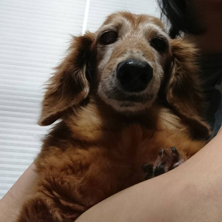 294bc98a 7ac7 4fc9 8626 4d73d2f1780f 1632526342230