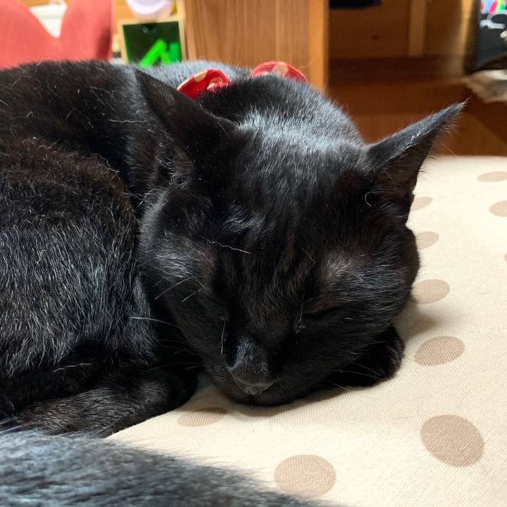 294c114a 7c05 45df 98be 883cd85d4868 1592642540592