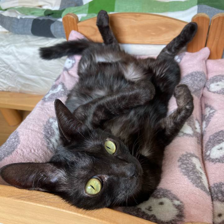 294c2130 4b2f 4c83 bcae 0e79f483775b 1570943203190