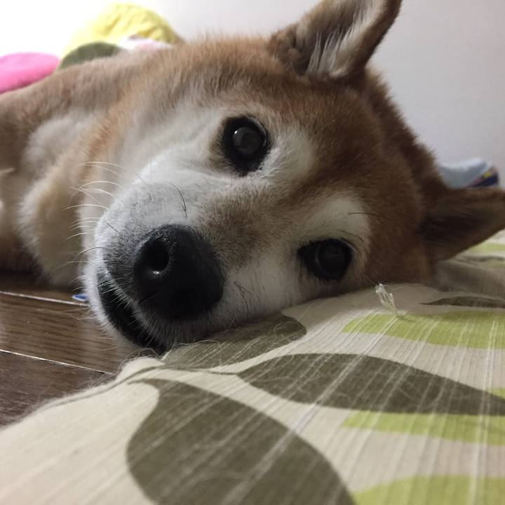 294c2312 3247 4eb5 85ed b3f8d6e33cb4 1535641488751