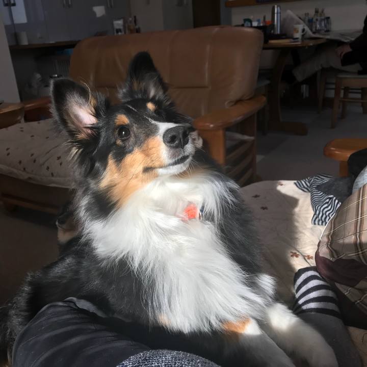 294c30a4 1047 4d5f b5e9 b9068f09110e 1520724898345