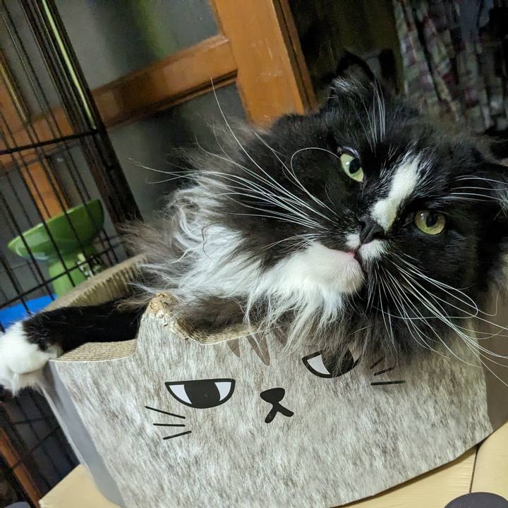 294c3527 46ae 44a4 b4e5 e2fe33640a55 1698570874727