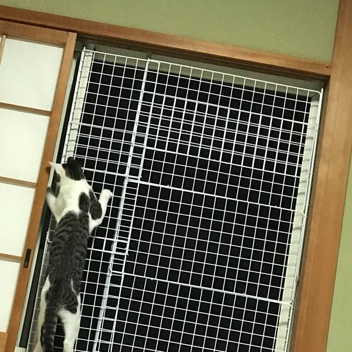 294c46b9 de23 48b0 9811 9ddfebf03b30 1537328428400