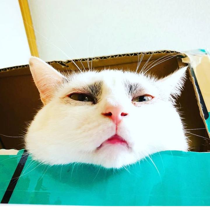 294cb93f 5a7f 42bb 8a9c 8742ca317fa4 1526325644607