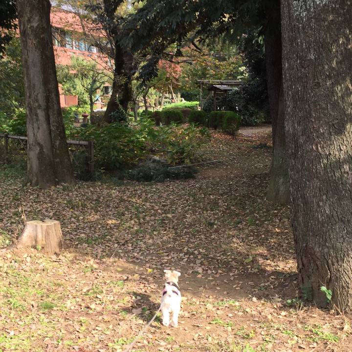 294cc1c9 fb95 4fe8 b80c 4afd52d82f63 1542522321948