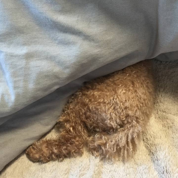 294cd0f4 144d 4d8a 9430 ef0209ee90b5 1519356679023