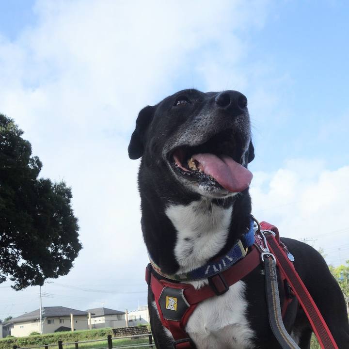 294ce44f daae 4375 9fa4 1a3ee0688853 1691972216152