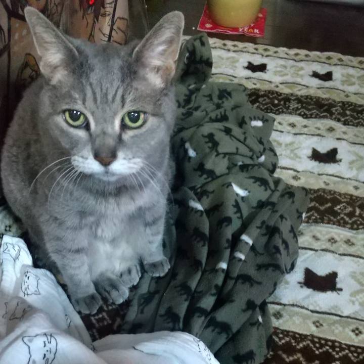 294cf0b7 e06c 4783 9852 3bcb7609595b 1676018762993