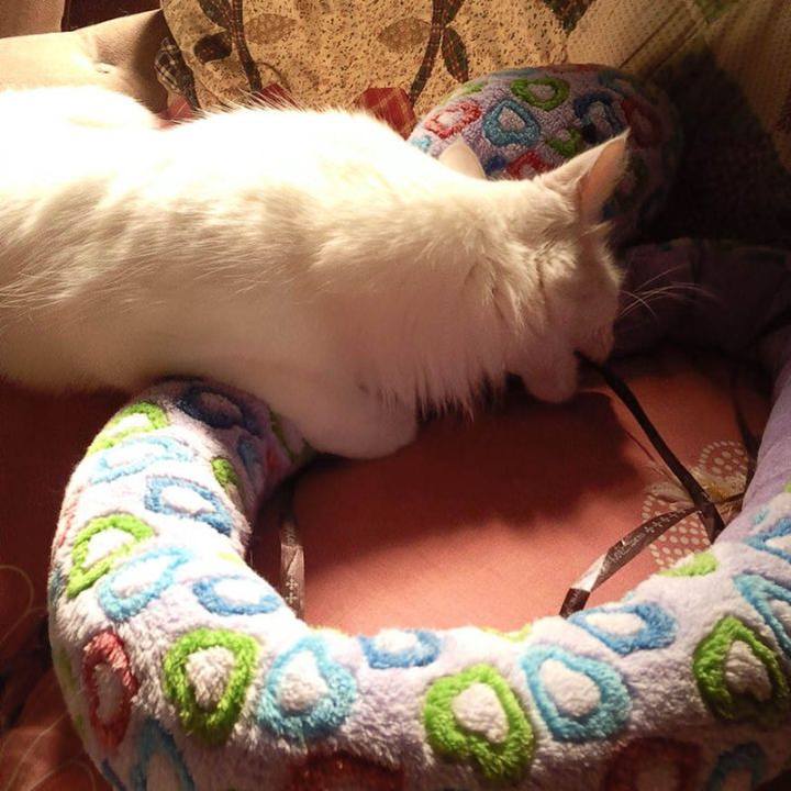 294cfb09 c41f 496a bd9c 67e477398b69 1679177776511