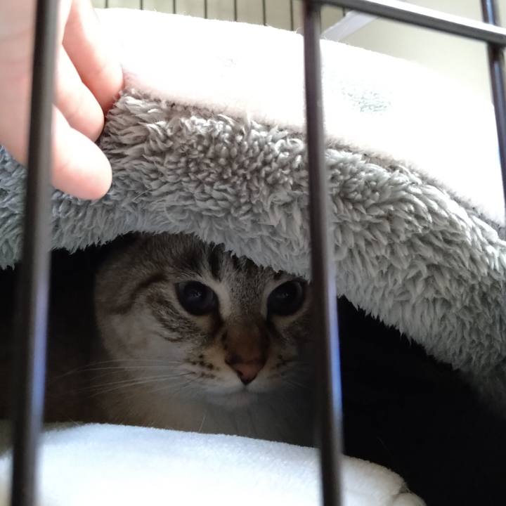 294d118a eca1 4307 8f12 9c3de0905f2b 1669886744307