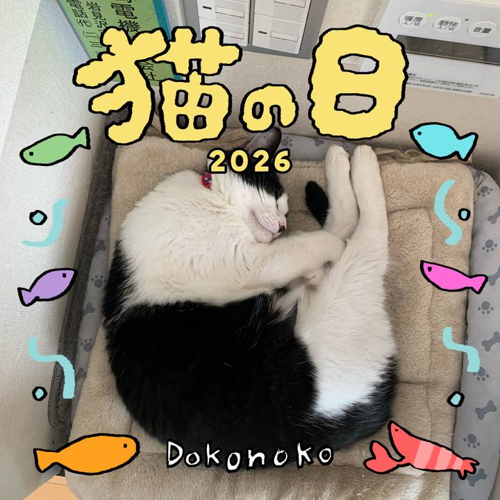 294d13b3 cbe4 4106 802e ecd727d47ad7 1771803690032