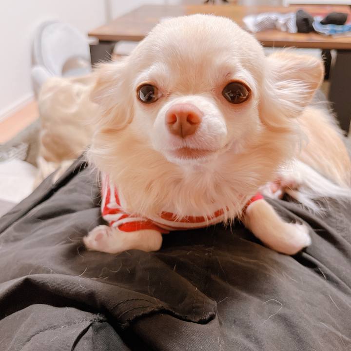 294d3d08 ad0e 4ff3 a737 f2e6a978228e 1663839406704