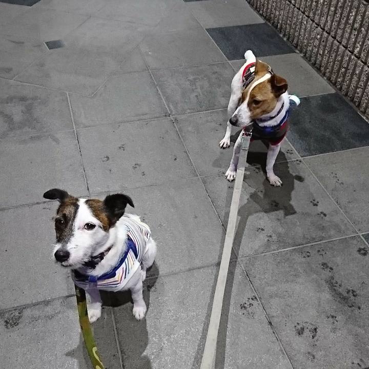 294da210 bdcb 483e 910b 2219ea845a70 1529066074016