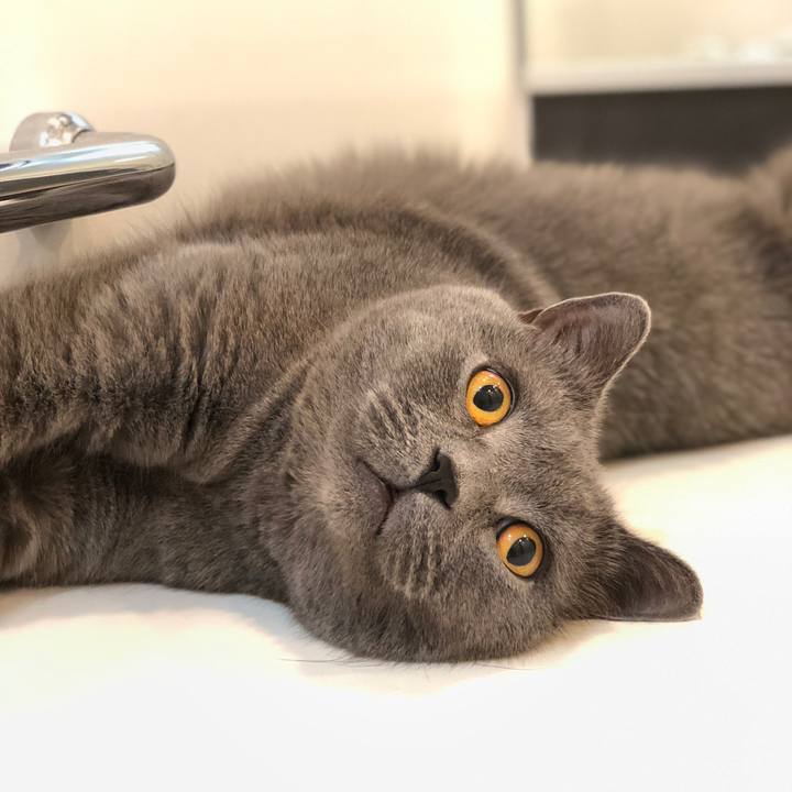 294dd8d2 bf91 4660 bdc9 9266af258059 1511938183893