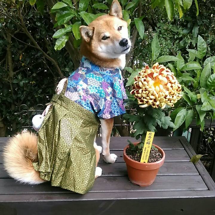 294de86f b7f1 4d12 840a 20c4aa411b6f 1574648175573