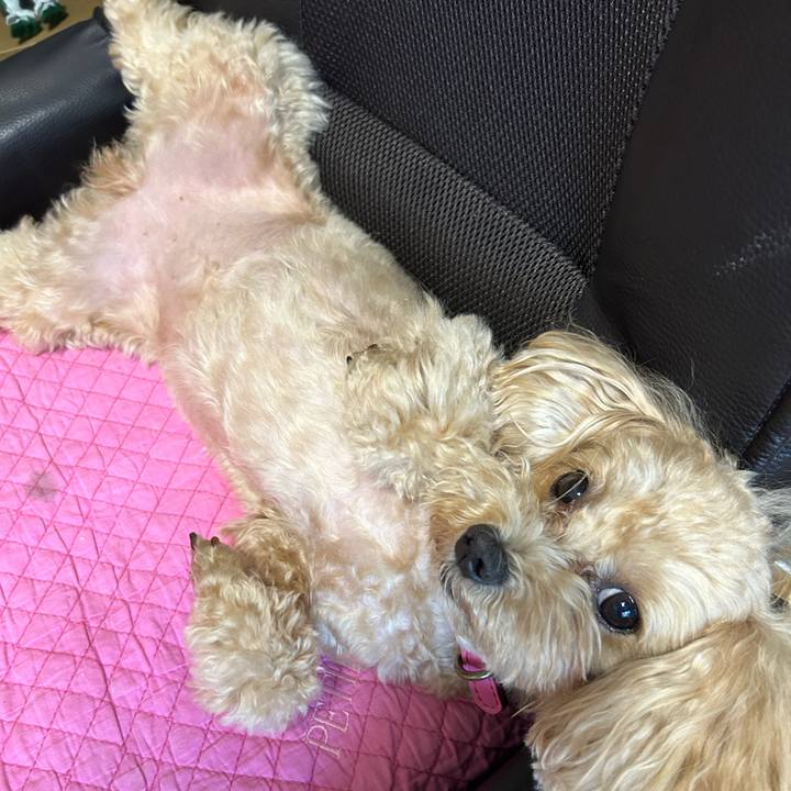 294e244d 7aae 496a a057 ac798006f42d 1691726390085