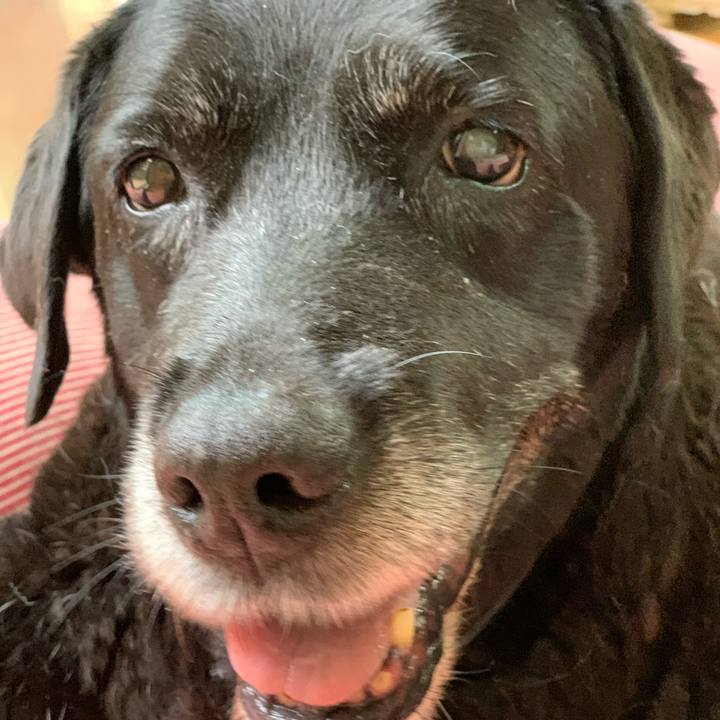 294e3e02 ef73 4e98 be92 1c6dcab059a1 1595459706364