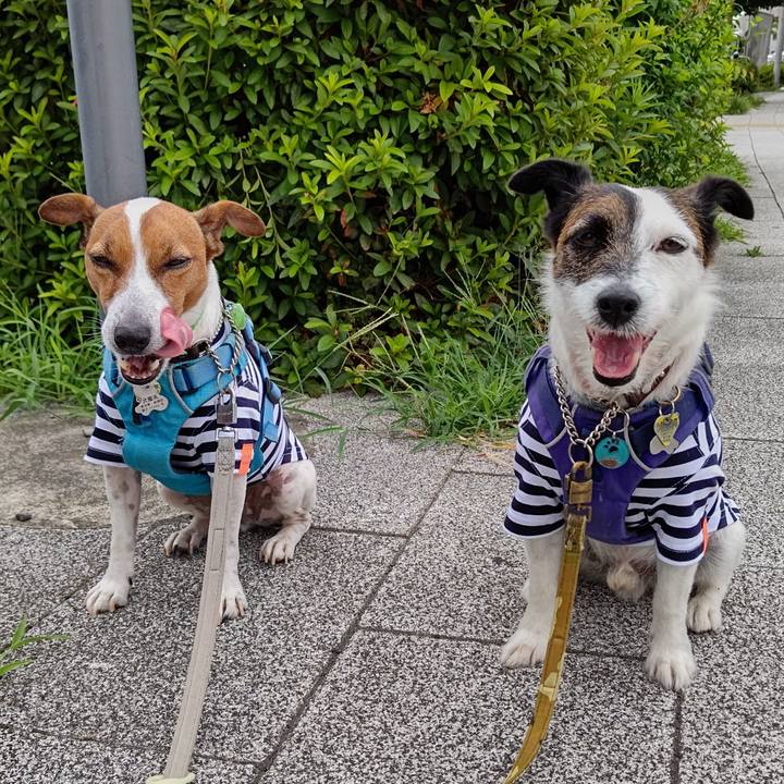 294e6ae0 082c 46c2 b328 b41ca6f665dd 1657576606352