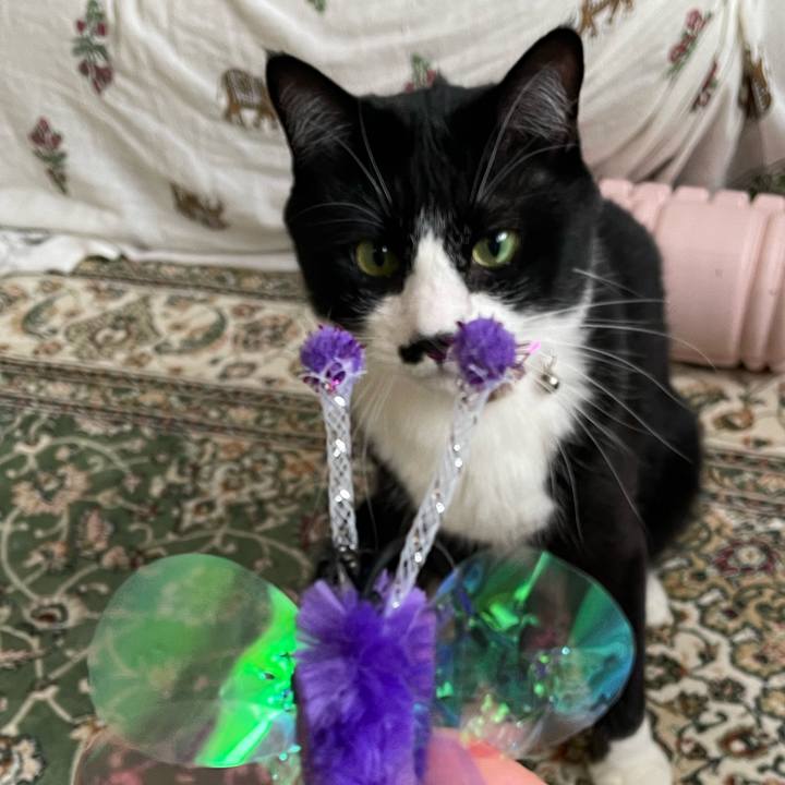 294ea0c9 dff1 4e9c b286 2b54354d884f 1682401845729