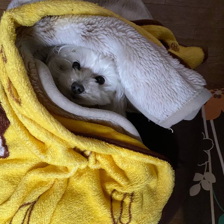 294ebb25 3a36 4f59 a0b2 0b0494988e26 1610460074415