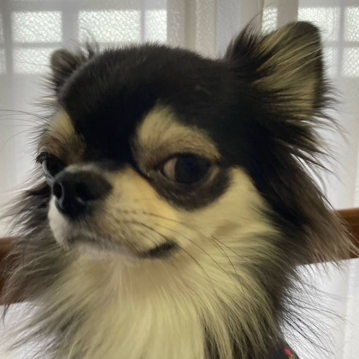 294ecb15 a953 4e69 bb0a 219f2cb14dd7 1637462906096