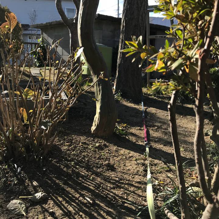 294ed4c3 080c 44cd 84e6 c7d1965fe090 1511056741052