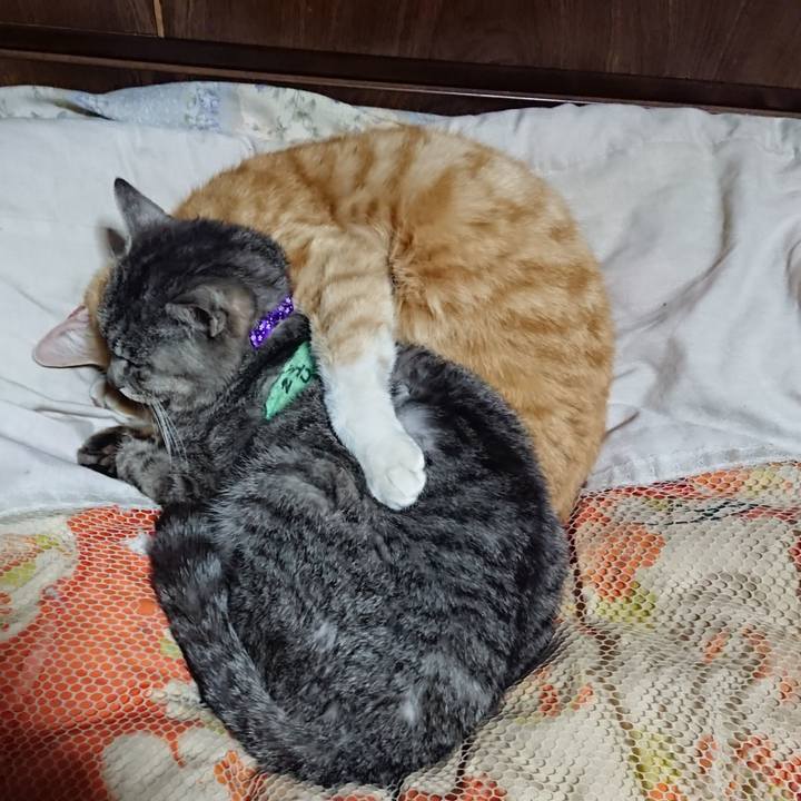 294ee2b8 65fb 4249 977b 50a696fa6f83 1587560342609