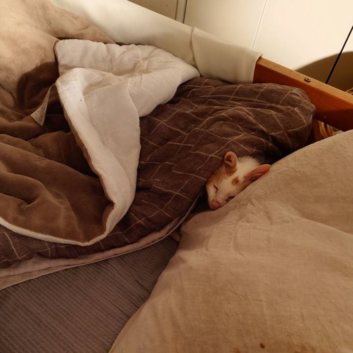 294eeca1 8646 42b0 93af 162e5829eb2a 1768446703225