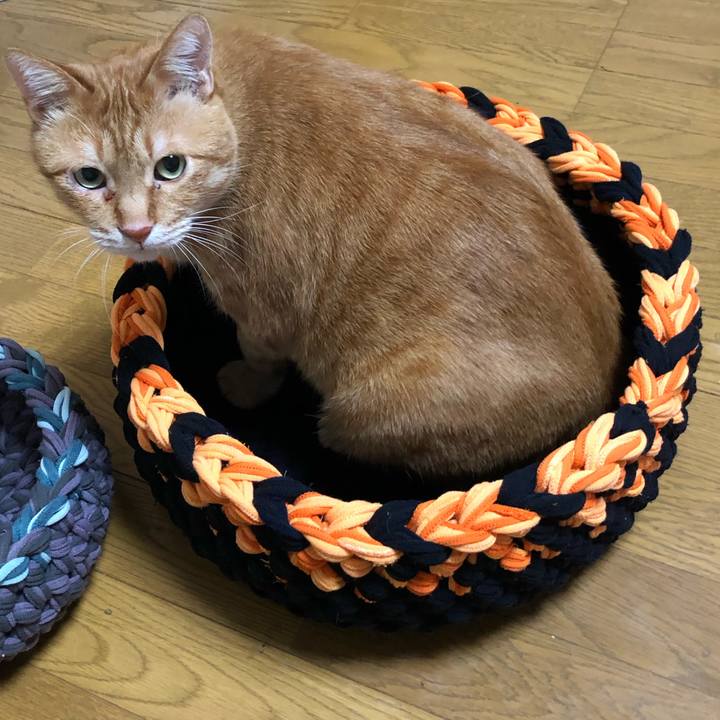 294f1143 007a 4da3 8fd0 d9b63352e76d 1639042229586