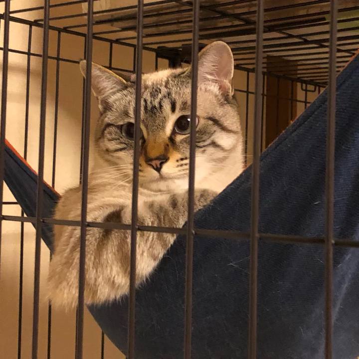 294f6477 1d32 46c1 a34e 0821becb49e3 1622380103013