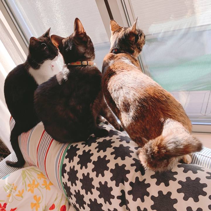 294f6789 7db9 40f5 a938 1c17bf2a4a66 1553997155110