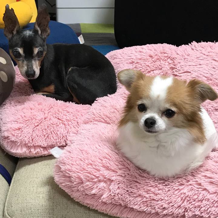 294f8425 70b0 44c9 a543 baf0d5817311 1519646126044