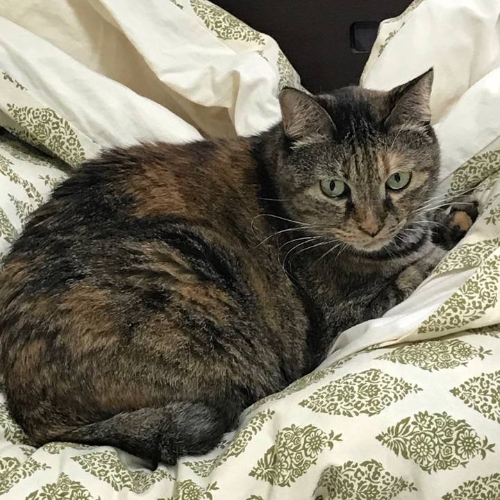 294f9312 3697 4fa3 aec0 461bbb224dea 1536490448324