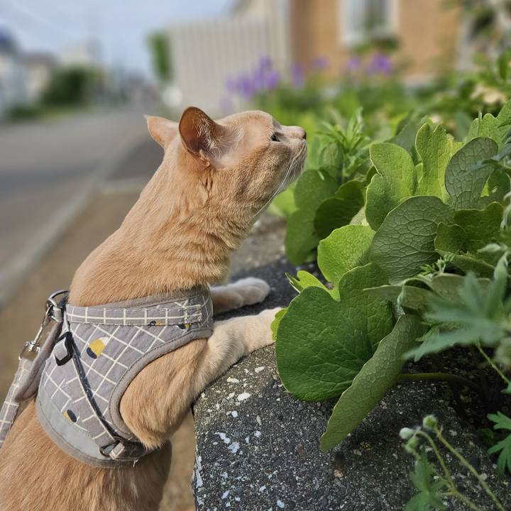 294fe210 d3d6 47aa ac29 e9100ba5046e 1749557416425