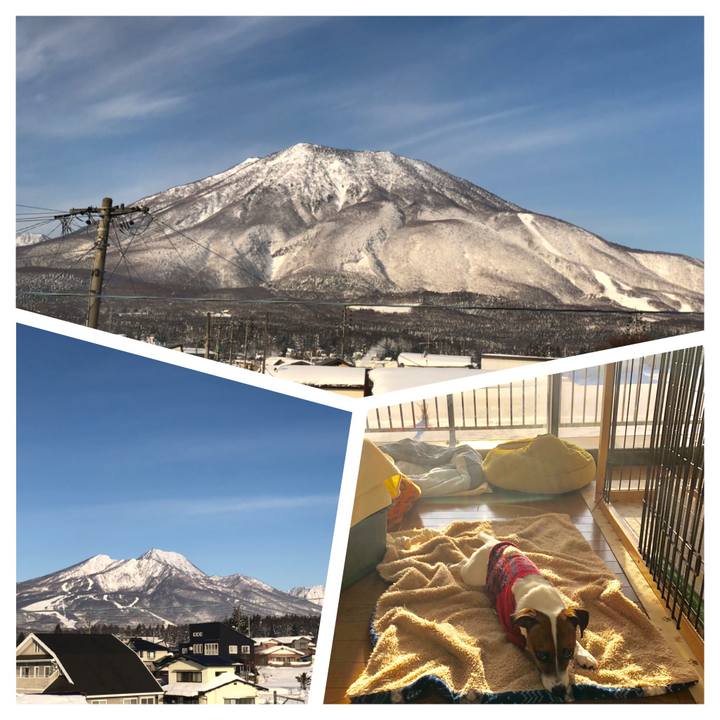 294fff02 4ccd 4e1a 8ce8 31aade9740b4 1547249515780