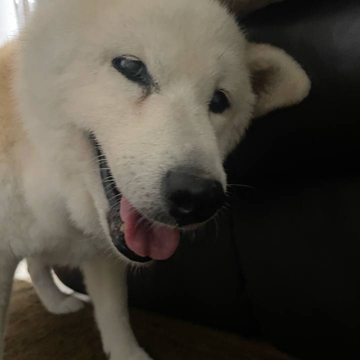 29500a20 efae 400b a87f 7d5432556908 1762467876555