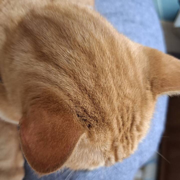 2950210e 7841 443b 8316 12fa5d565ee9 1728195060013