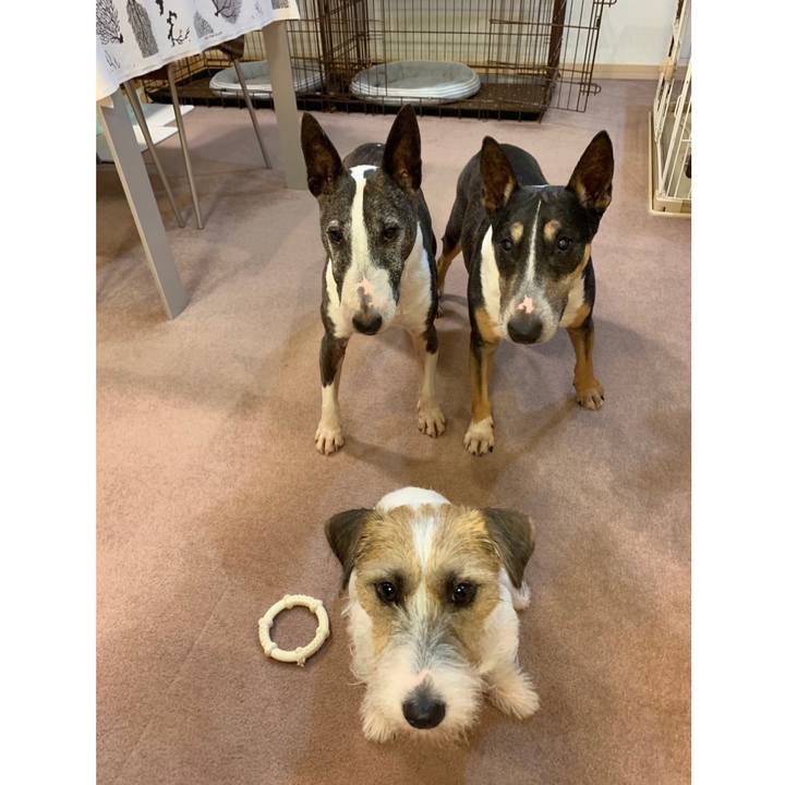 295021a7 fcb2 459e 8225 054fd9cc5053 1600170581427