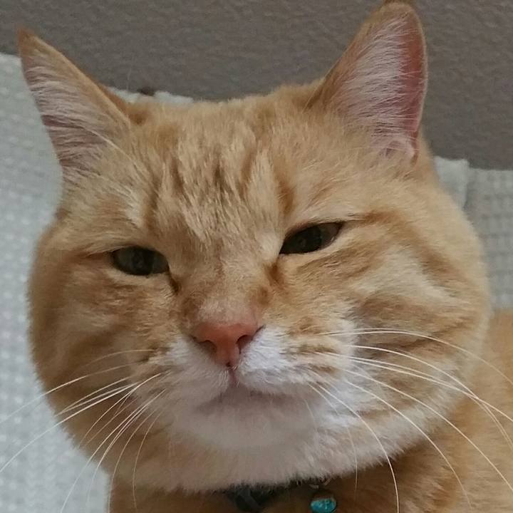 295022c3 d24f 49b0 bfb5 b9169b306cba 1544237035822