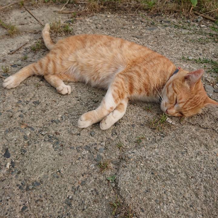 29503904 9353 413d 9c2c 236b426bc148 1561280801304