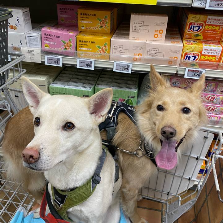 29506312 dcb3 4426 bcc8 489745a2caf5 1770615486490