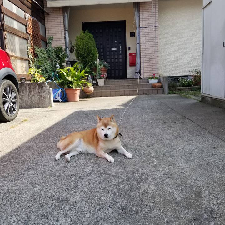 29506d94 5c6d 45a6 bd54 f34de9893862 1666491438552