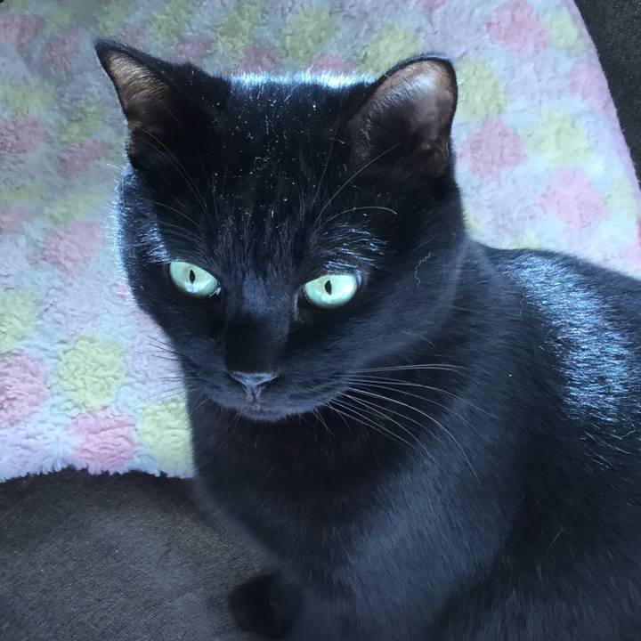 29506fde f528 4bd6 86e1 d3fc1772597c 1603962138701