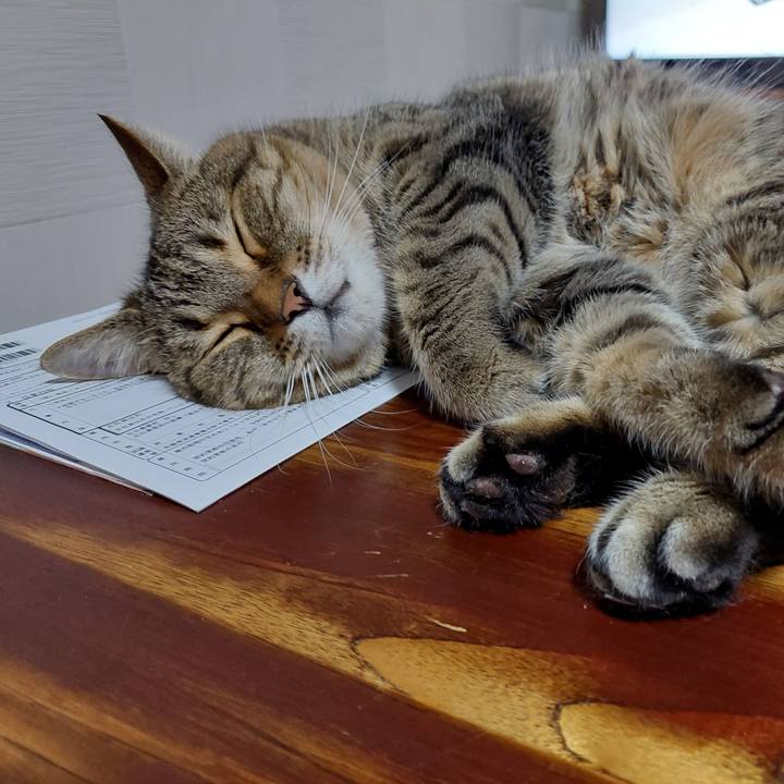 2950937c e221 4c05 a369 f32f013f6fc4 1656504049454