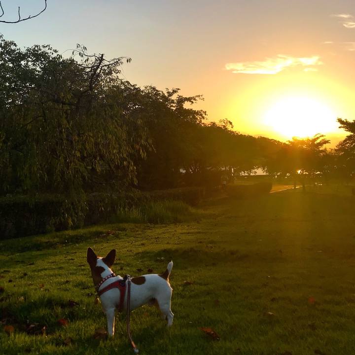 2950b8b7 72ed 49fc 8ca5 d9f455bc005e 1535193542850