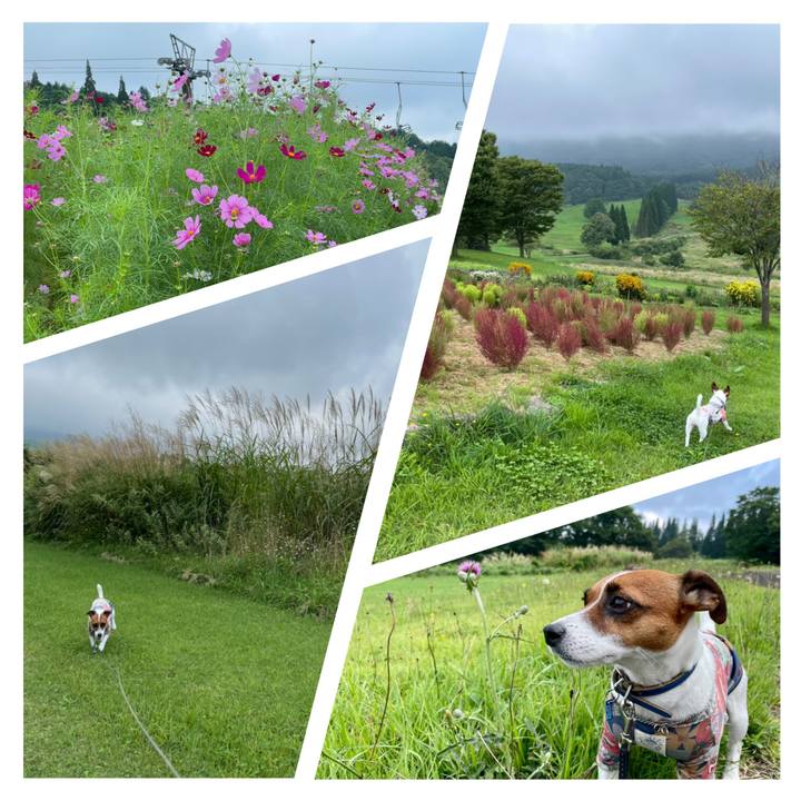 2950efa4 47fc 479f aca1 9ae05d45b34d 1630403853250