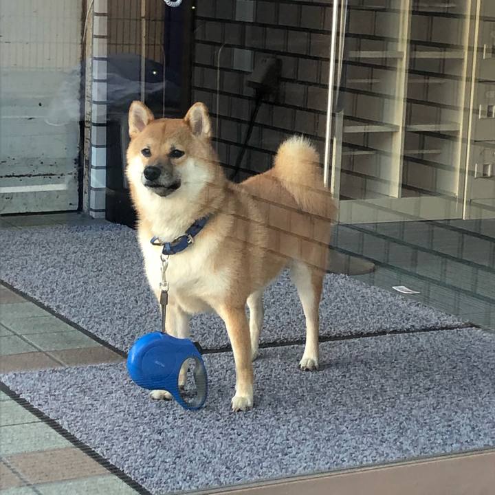 29513630 444d 4a32 9ad3 7518c69730b6 1599974511596