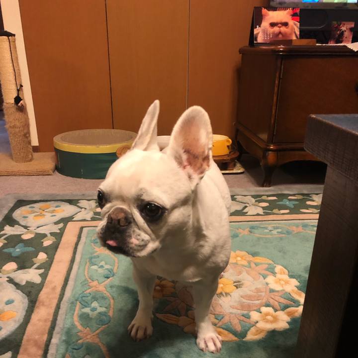 2951476b bb13 4829 8838 860e52013710 1648027051796